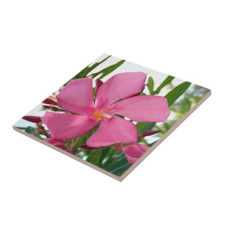 Pink Oleander Photo Ceramic Tiles