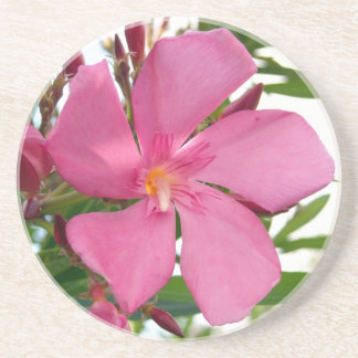 Pink Oleander Photo Sandstone Coaster