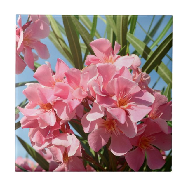 Pink Oleander tile (Front)