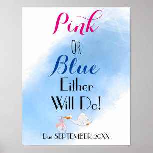 Pink or Blue Either will Do Baby-shower Poster