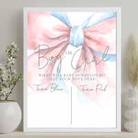 Pink Or Blue Vote Gender Reveal Party