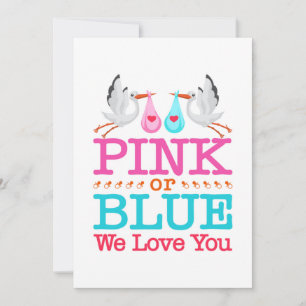 Pink or Blue We Love You Gender Reveal Stork Holiday Card