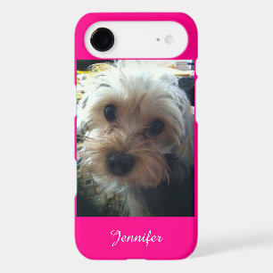 Pink or CHOOSE YOUR COLOR Yorkie