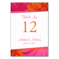 Pink Orange Gerbera Daisy Flower Wedding