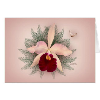Pink Orchid