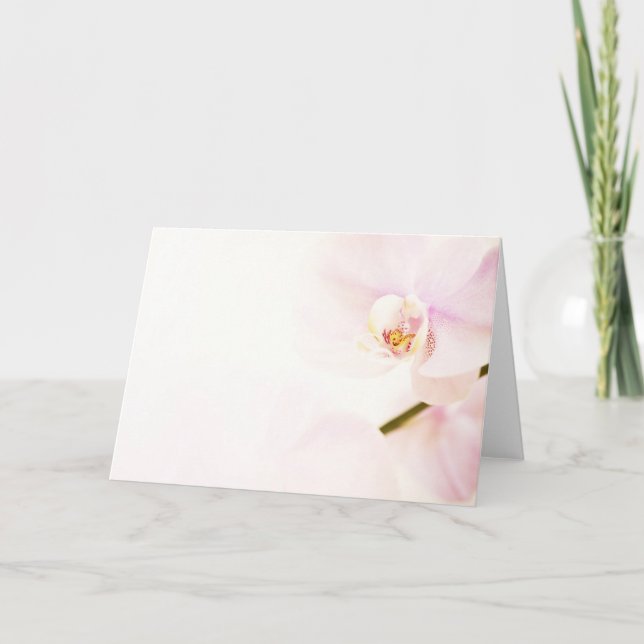 Pink Orchid Background greeting card (Front)