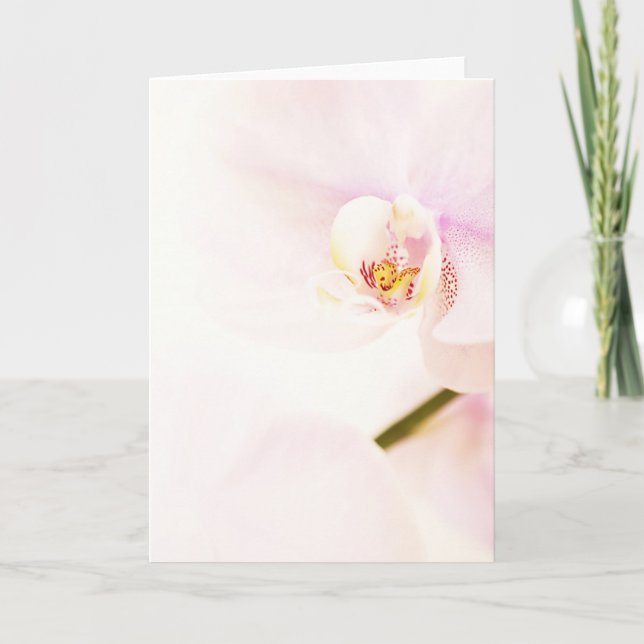 Pink Orchid Background greeting card vertical (Front)