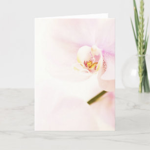 Pink Orchid Background greeting card vertical