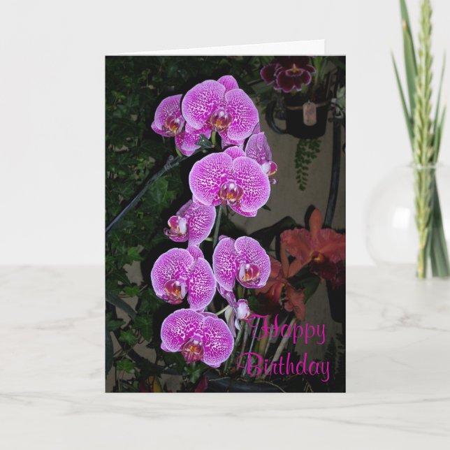Pink Orchid Birthday Card (Front)