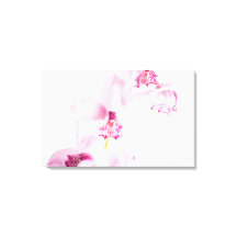 Pink orchid