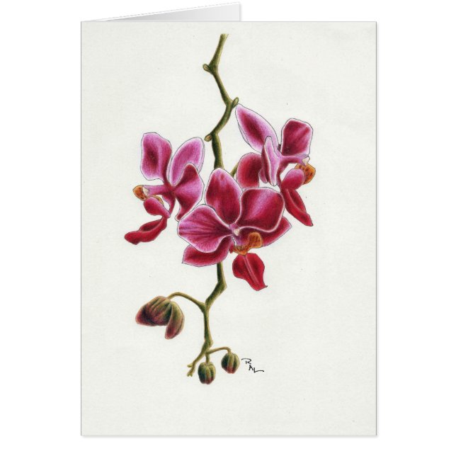 Pink Orchid Card (Front)