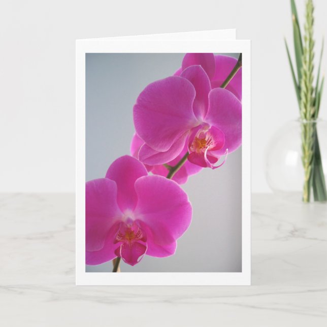 Pink Orchid Card (Front)