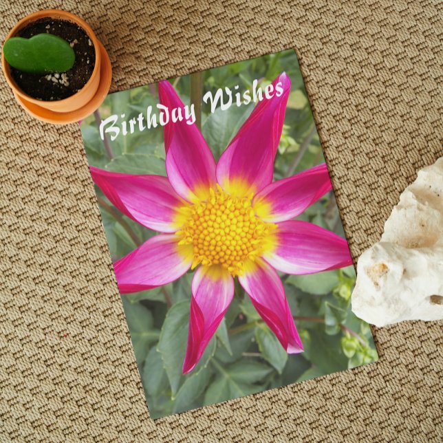 Pink Orchid Dahlia Floral Birthday Card (In Situ)