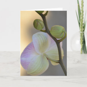 Pink Orchid Expression Card