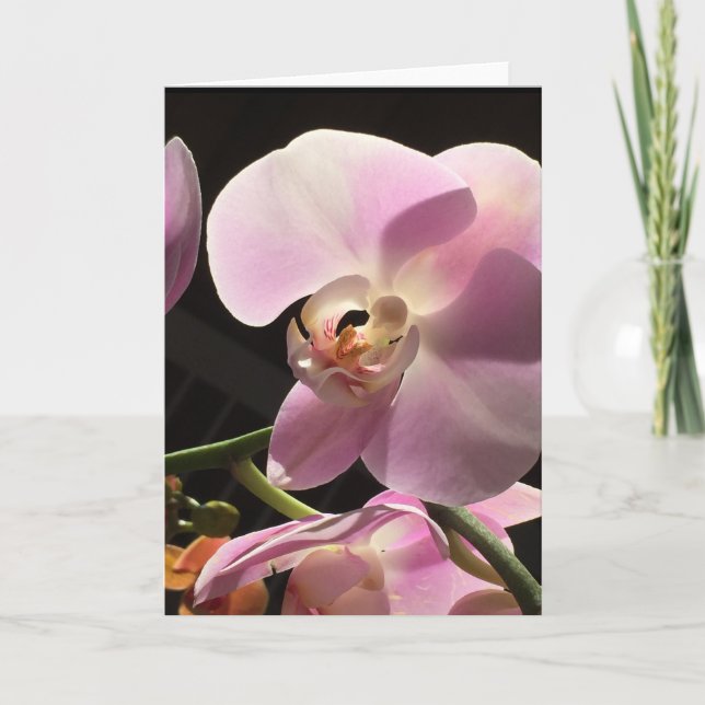Pink Orchid Floral Note Card (Front)