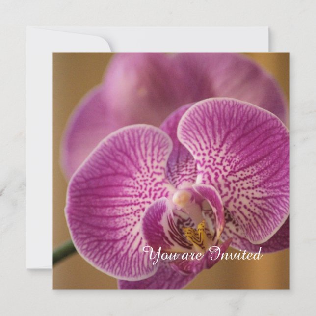 Pink Orchid Flower Birthday Invitation (Front)
