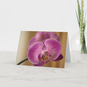 Pink Orchid Flower Card