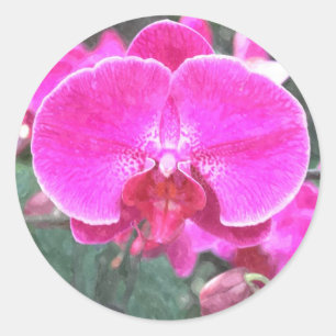 Pink orchid flower, floral photography classic round sticker