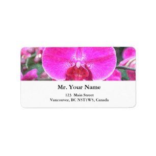 Pink orchid flower, floral photography label