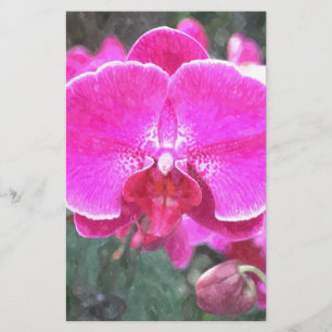 Pink orchid flower, floral photography stationery