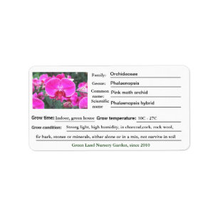 Pink orchid flower garden labels. label