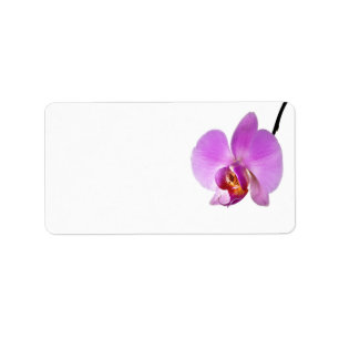 Pink Orchid Flower Label