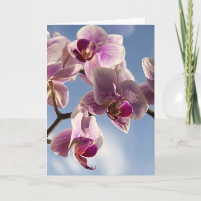 Pink orchid greeting card (Front)