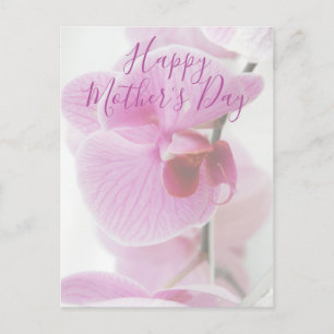 Pink Orchid   Happy Mother's Day Postcard