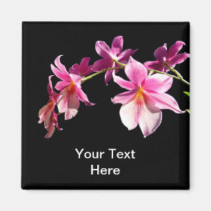 Pink Orchid. Magnet