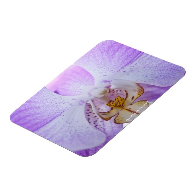 Pink Orchid Magnet (Left Side)