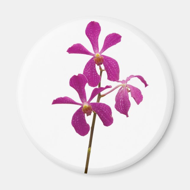 Pink Orchid Magnet (Front)