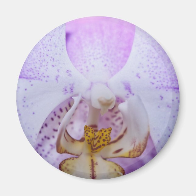 Pink Orchid Magnet (Front)