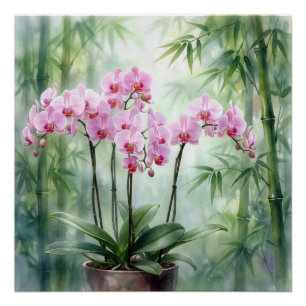 Pink Orchid Plant On Bamboo Background Poster