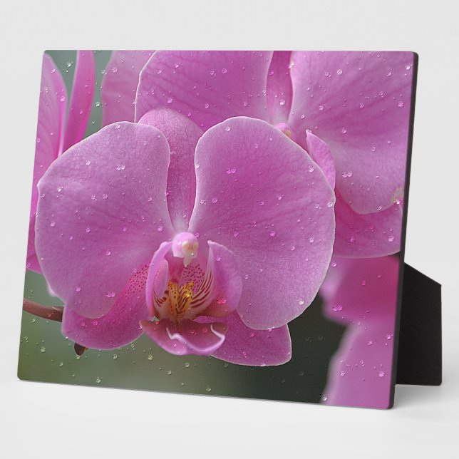 Pink Orchid Plaque (Side)