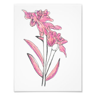 Pink Orchid Print