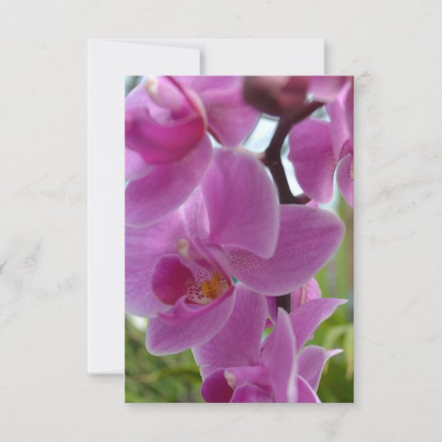 Pink Orchid R.S.V.P. RSVP Card (Front)