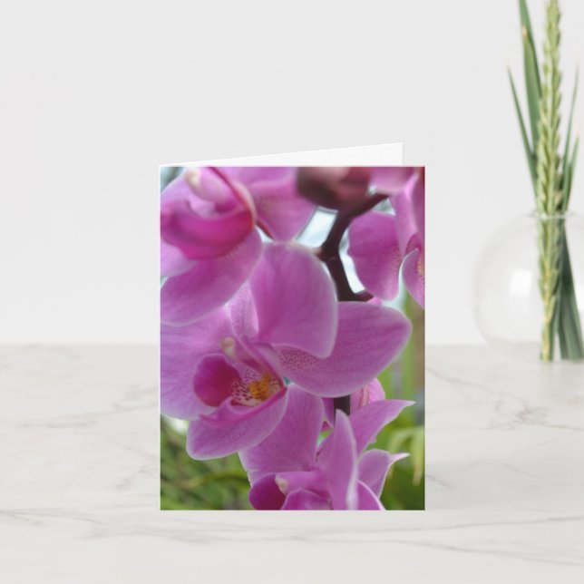 Pink Orchid Thank you Card (Front)