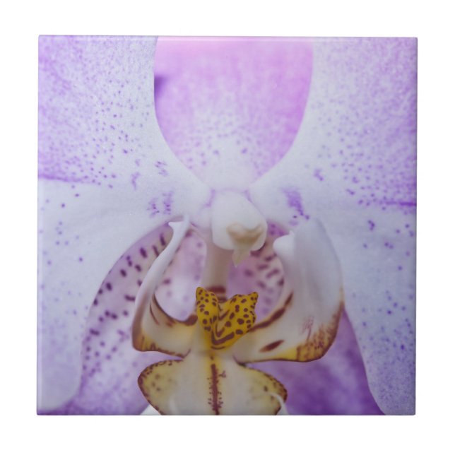 Pink Orchid Tile (Front)