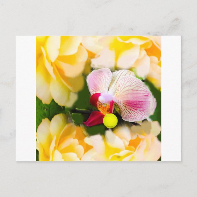 Pink orchid with tennis ball postcard (Front)