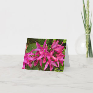 Pink Orchids All Occasions Customisable Card