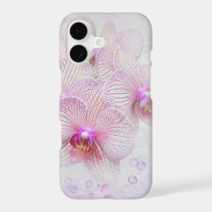 pink orchids and bubbles