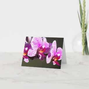 Pink Orchids Card