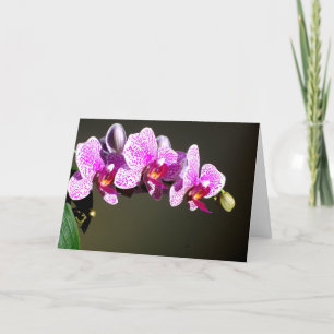 Pink Orchids Card