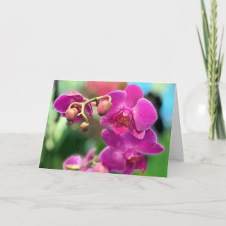 Pink orchids  card