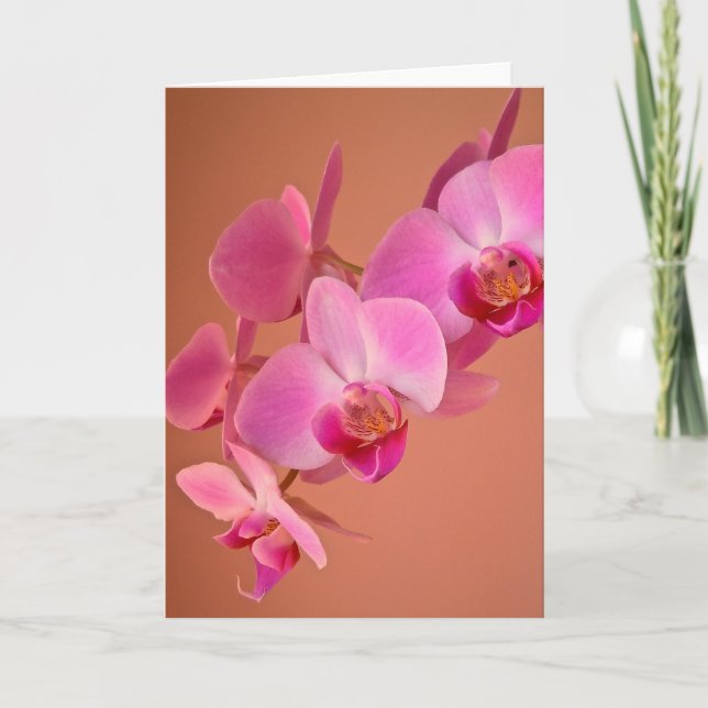 Pink Orchids Card (Front)