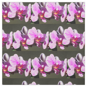 Pink Orchids Fabric