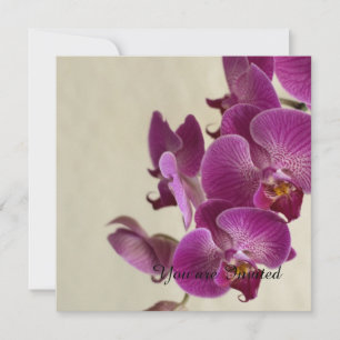 Pink Orchids Flowers Birthday Invitation