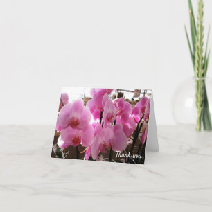 Pink Orchids Flowers Card