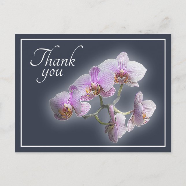 Pink Orchids in Shades of Grey Backdrop Thank You Postcard (Front)