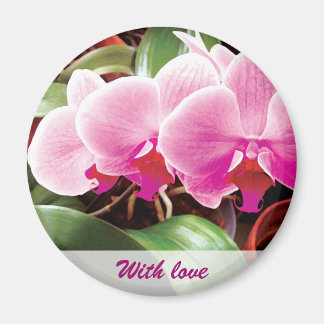 Pink Orchids Magnet